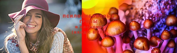 a pvp Аркадак