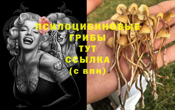соль курить ск Армянск