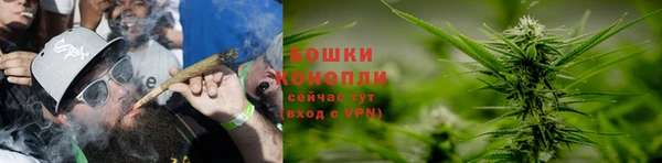 a pvp Аркадак