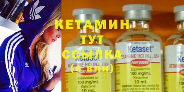 трава Осинники